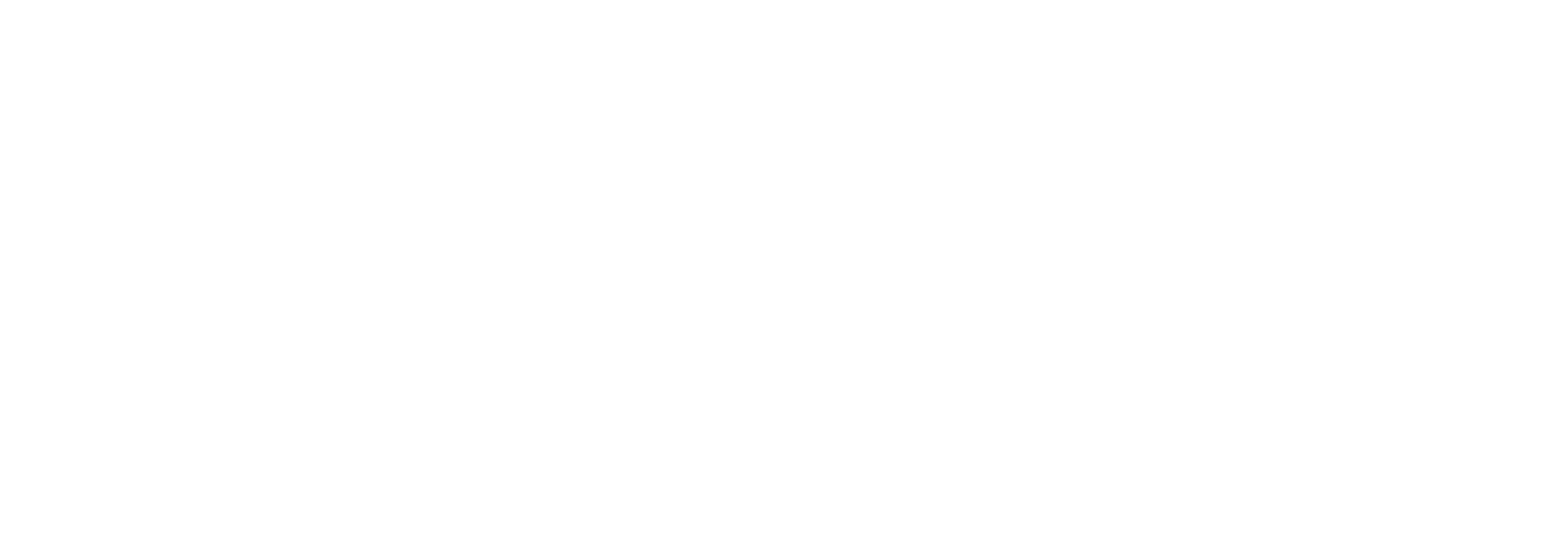 INN-LEKS S.A.